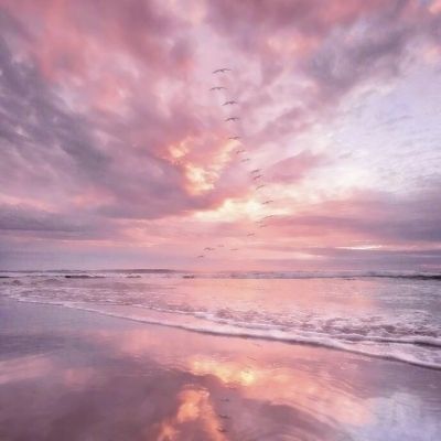 kok中欧登录入口手机app下载截图